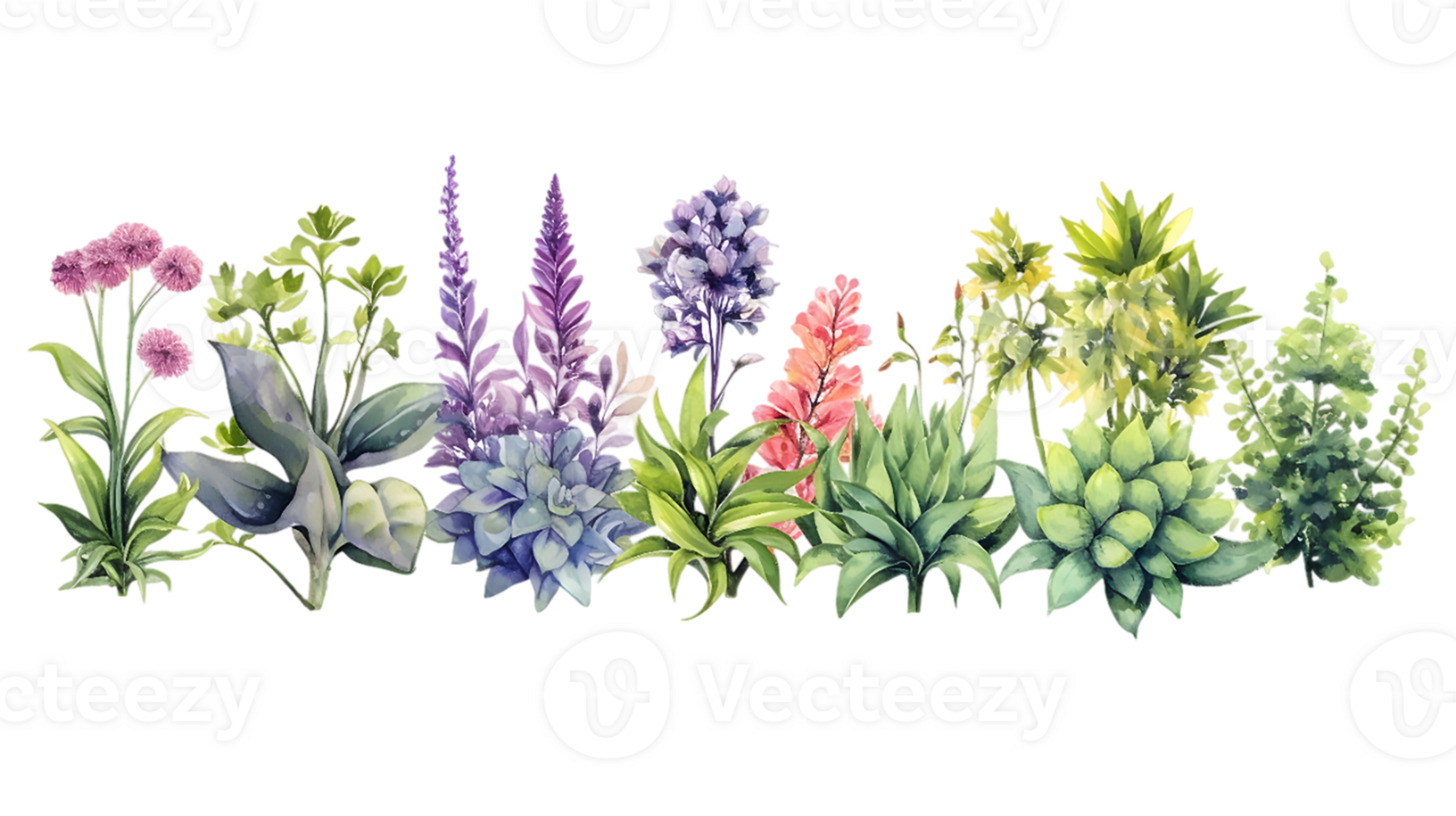 huis planten reeks illustratie verzameling transparant achtergrond ai gegenereerd png