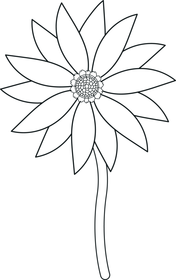 helianthus flor rabisco linha arte. Preto e branco rabisco flor. mão desenhado girassol ornamento. flor esboço padronizar. png