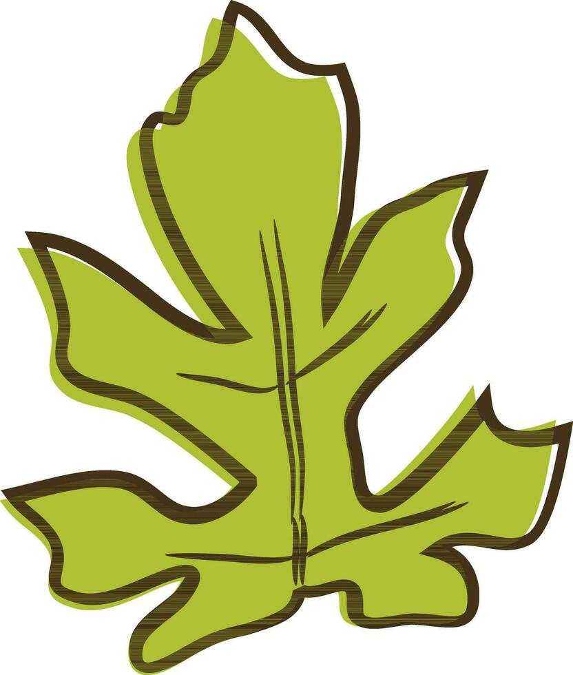Maple Leaf icon in doodle style. vector