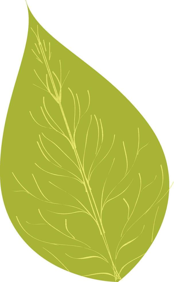 Vector illustration of leaf icon.