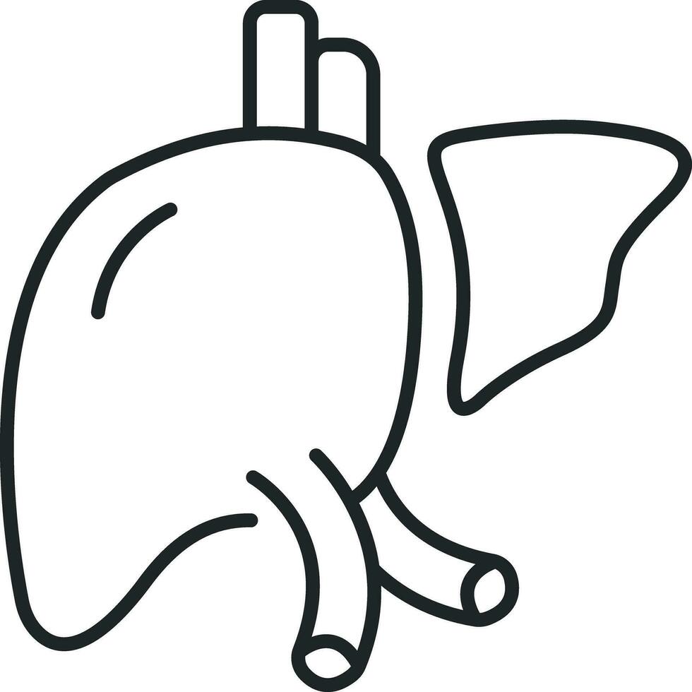 Liver line icon vector