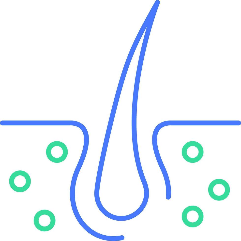 Hair follicle line icon vector