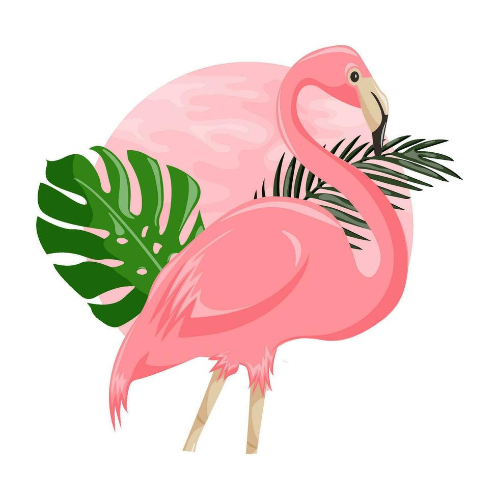 Flamingo vector illustration. Pink flamingo.