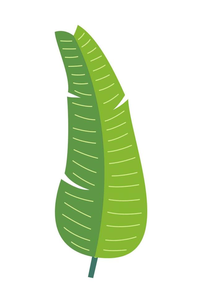 Tropical leaves and abstract exotic plant vector design elements on the white background. Flat Design jungle leaves. Nature plant tropical leaves
