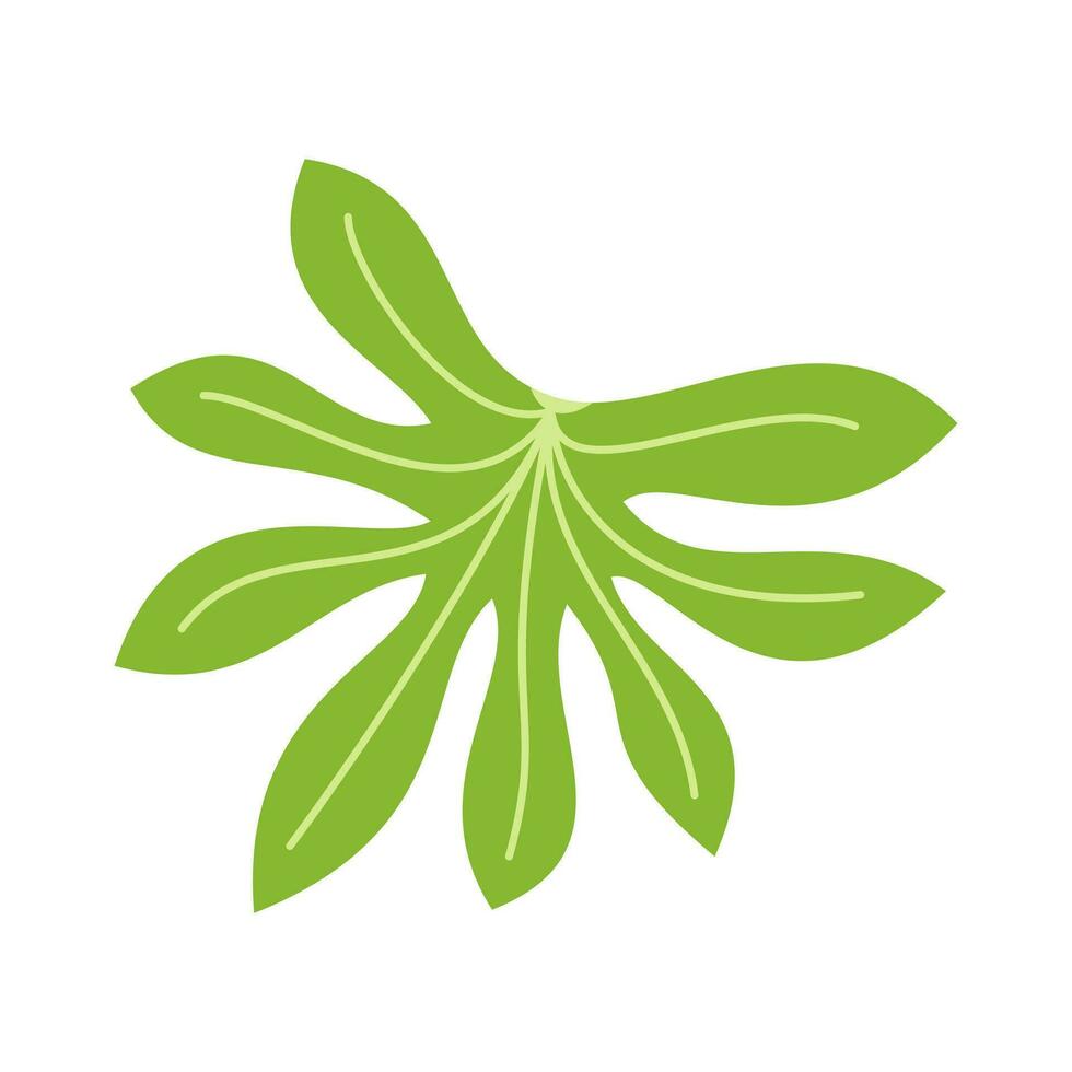 tropical hojas y resumen exótico planta vector diseño elementos en el blanco antecedentes. plano diseño selva hojas. naturaleza planta tropical hojas