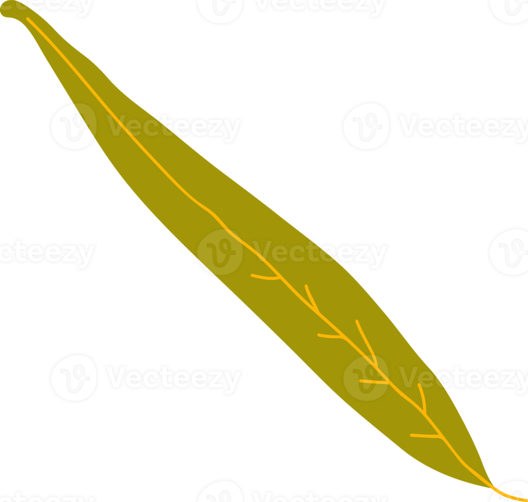 Willow Autumn Leaf png