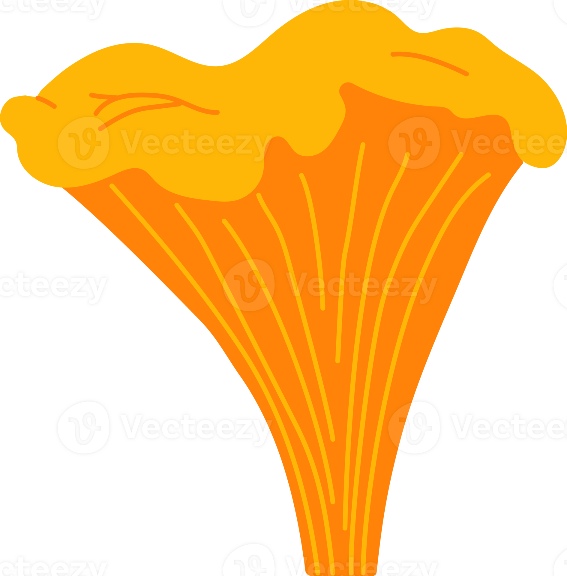 Orange Chanterelle Mushroom 24804432 PNG