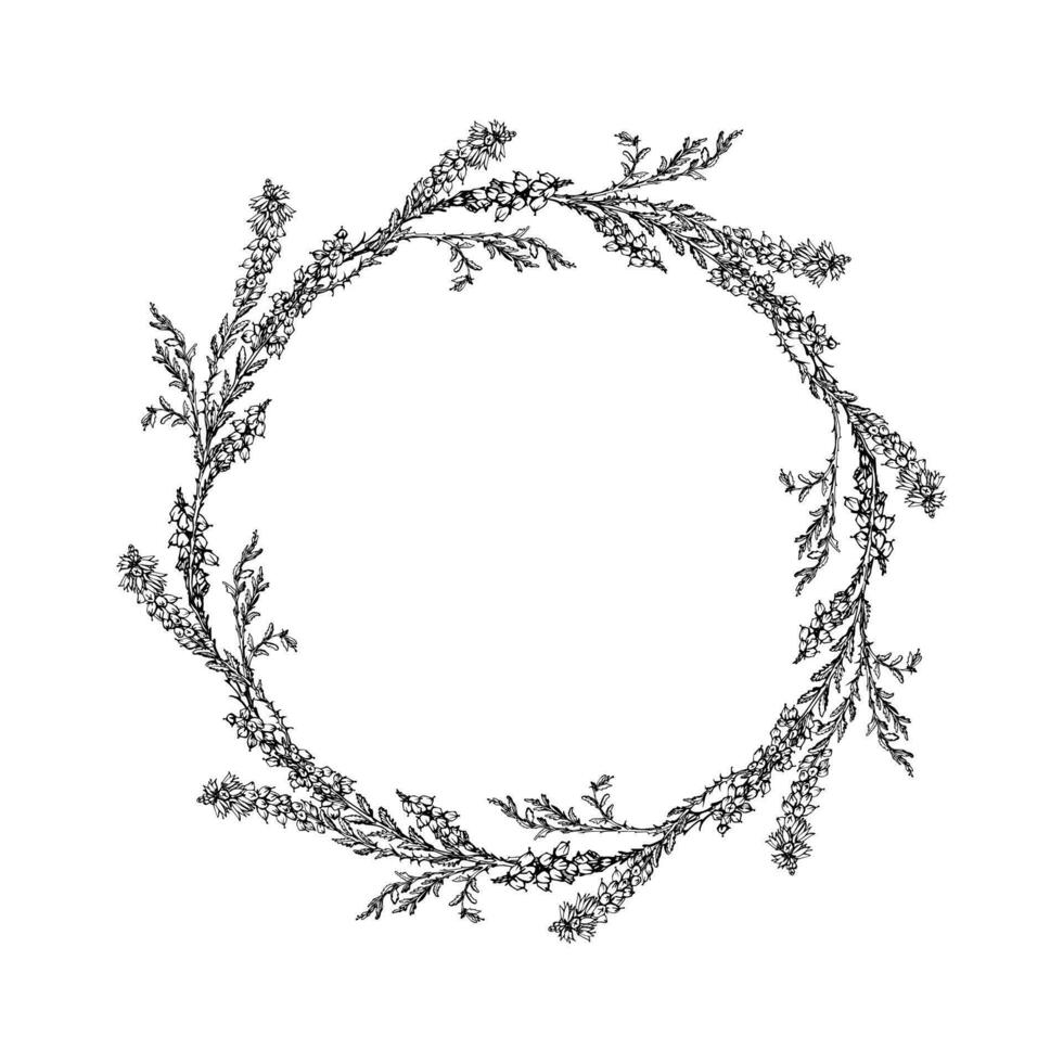 Ink hand drawn vector graphic sketch illustration. Flower circle wreath of heather branches with buds and leaves. Nature bloom vegetation. Design for tourism, travel, wedding, print, fabric, card