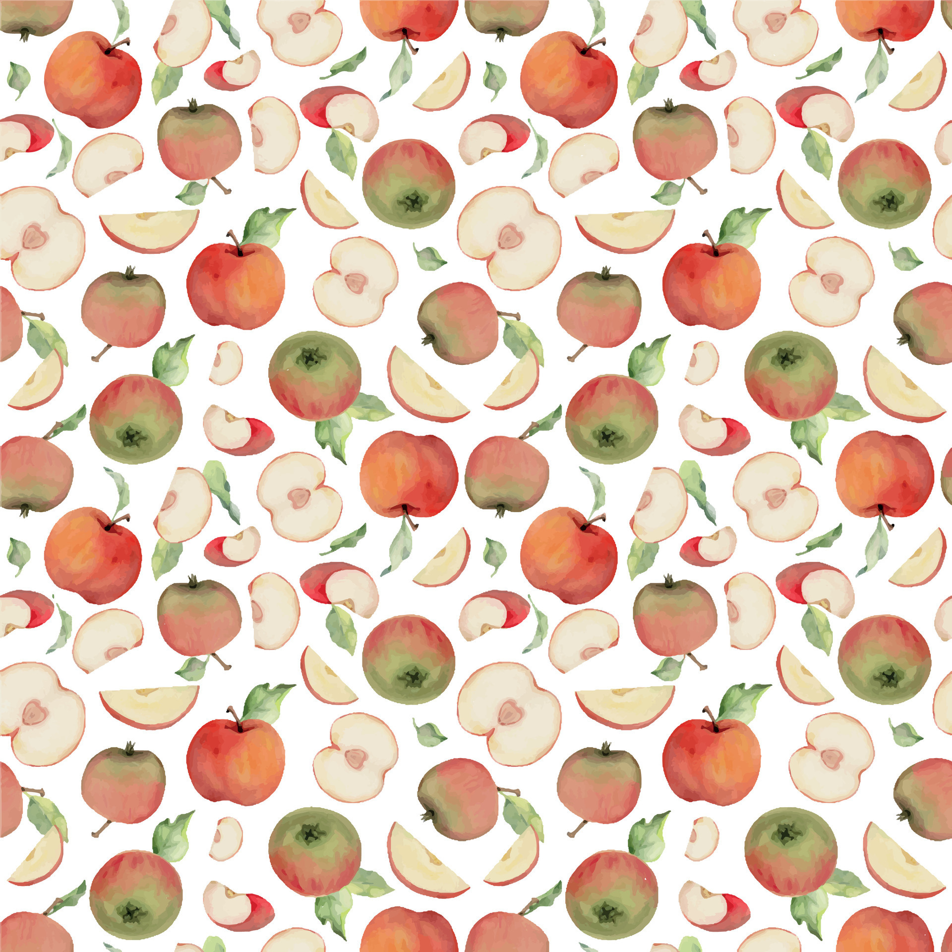 Hand drawn watercolor apple fruits, ripe, full and slices red and green