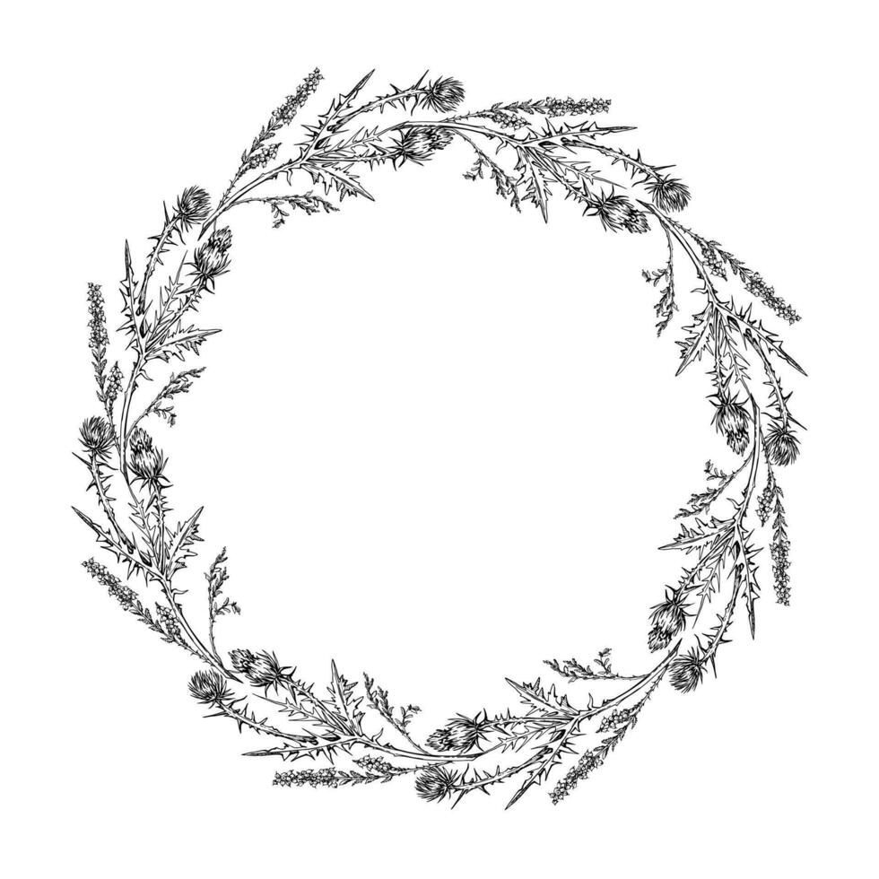 Ink hand drawn vector graphic sketch illustration. Flower circle wreath of thistle branches with buds and leaves. Nature bloom vegetation. Design for tourism, travel, wedding, print, fabric, card