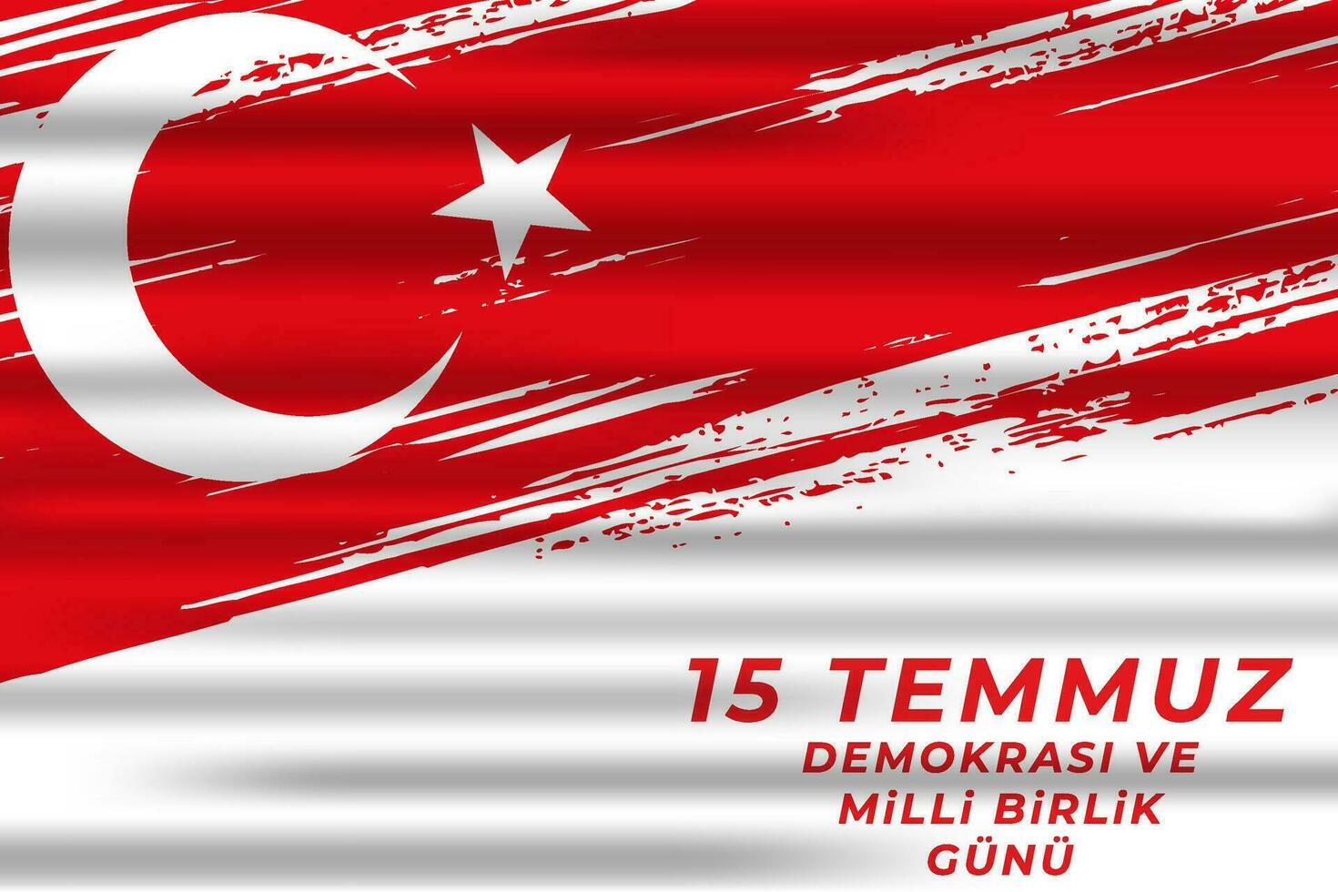 democrático y unidad nacional día Turquía 15 temmuz vector