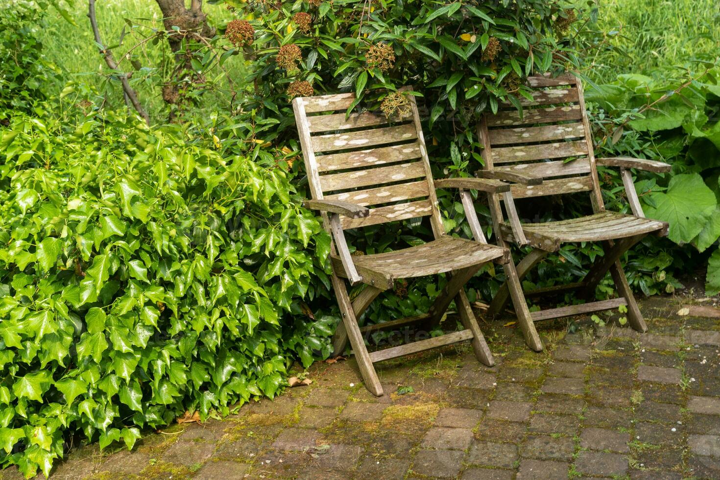 dos de madera silla en jardín foto