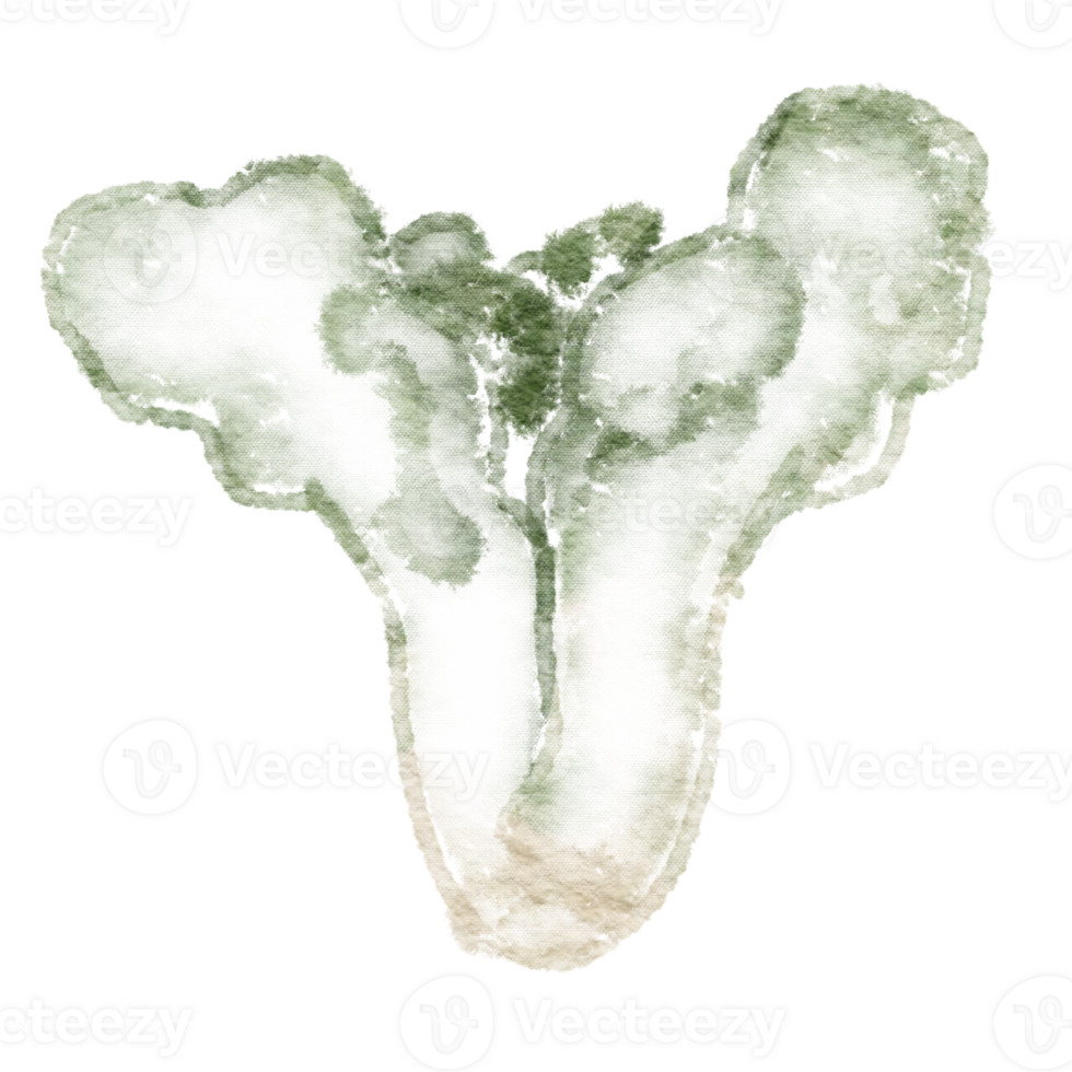 organic vegetables, line art png