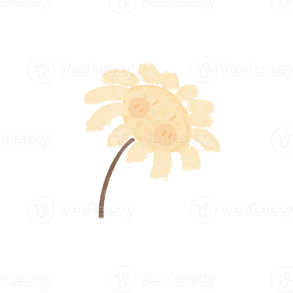 beautiful blooming flowers png