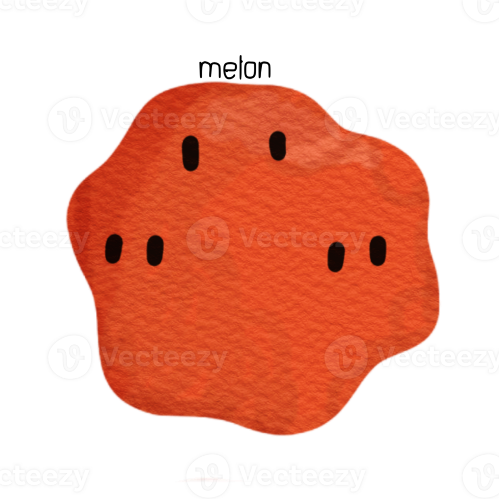 Melon various summer fruits png
