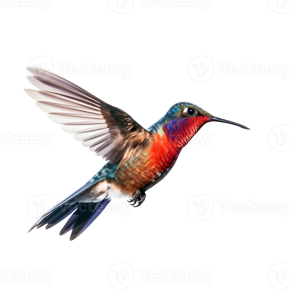 colibri sur transparent Contexte. ai généré png
