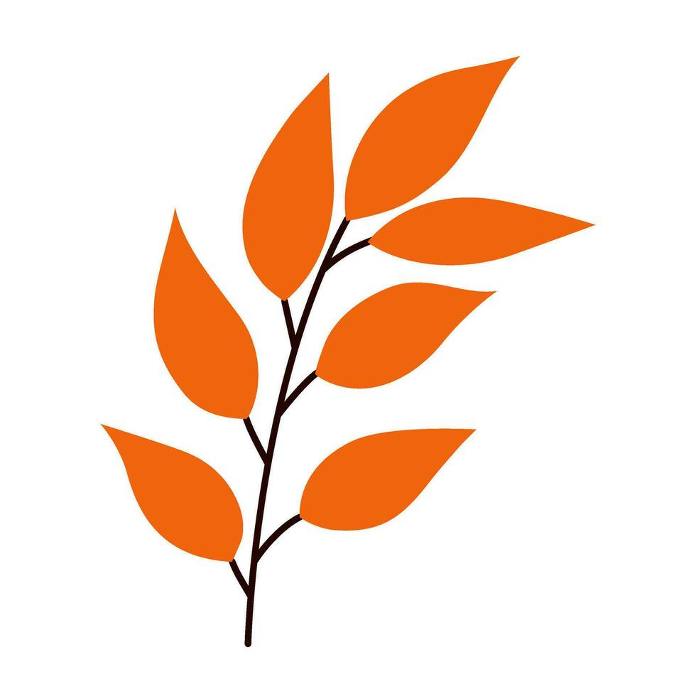 fall flower autumn botanical leaves illustration vector