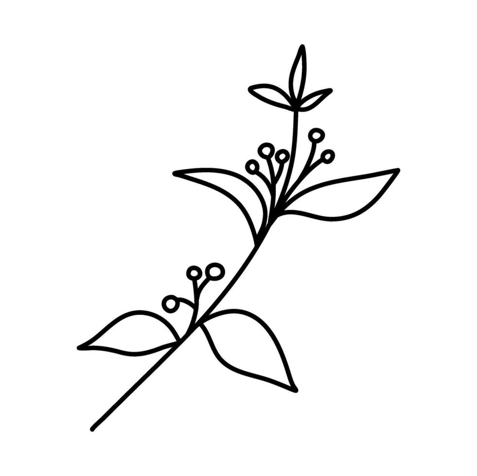 botanical line art leaves flower vector illustration