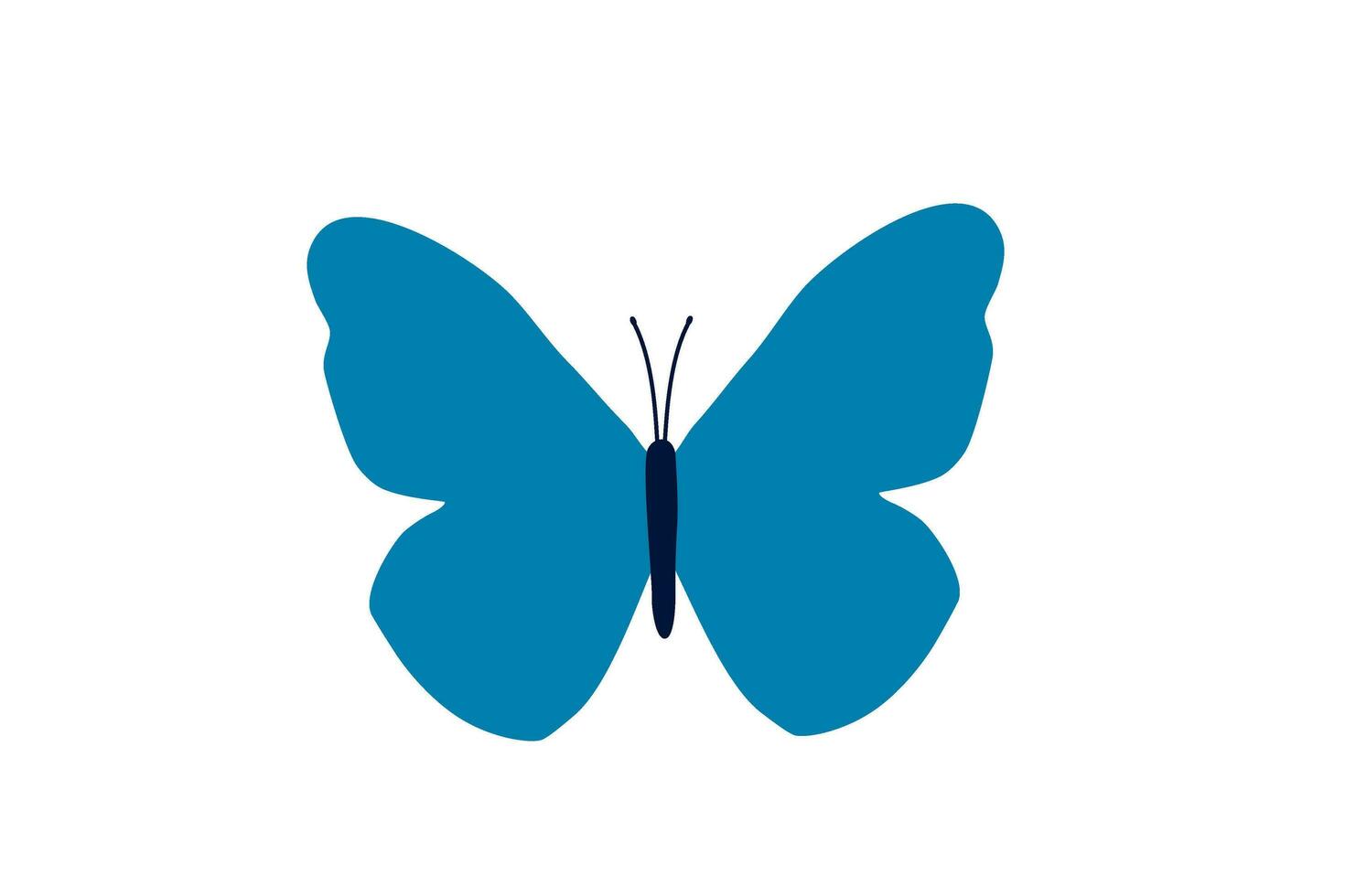 butterfly blue wing insect illustration vector