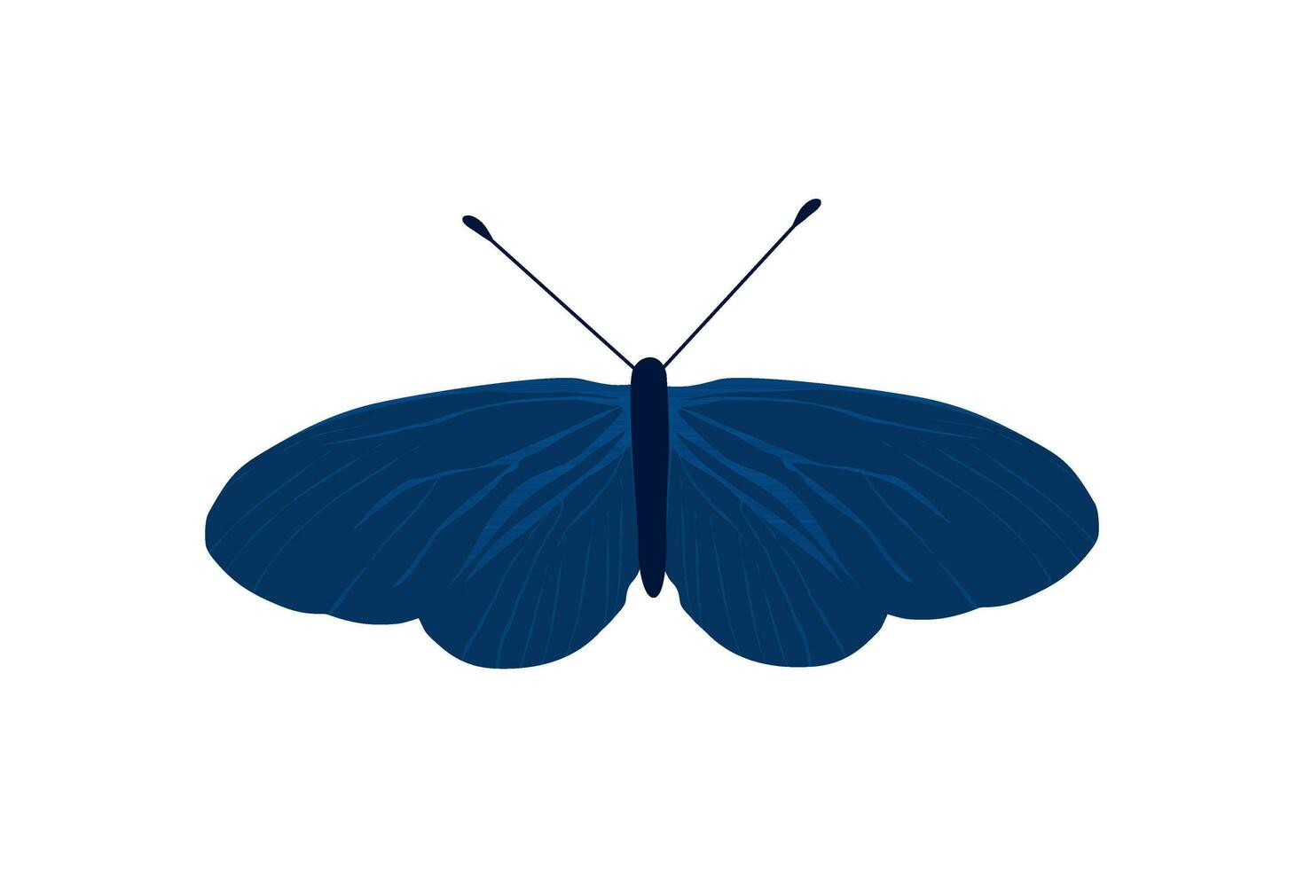 mariposa azul ala insecto ilustración vector