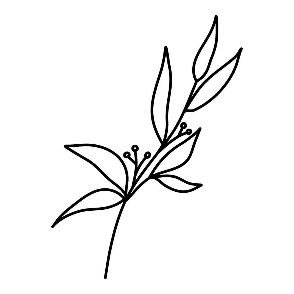 botanical line art leaves flower vector illustration