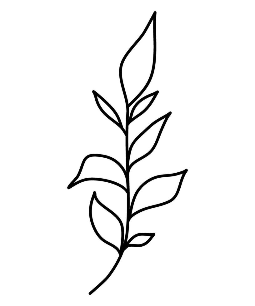 botanical line art leaves flower vector illustration