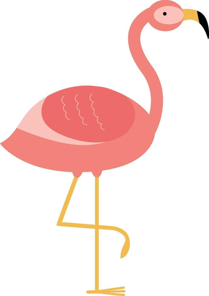 flamingo cute illustration vector