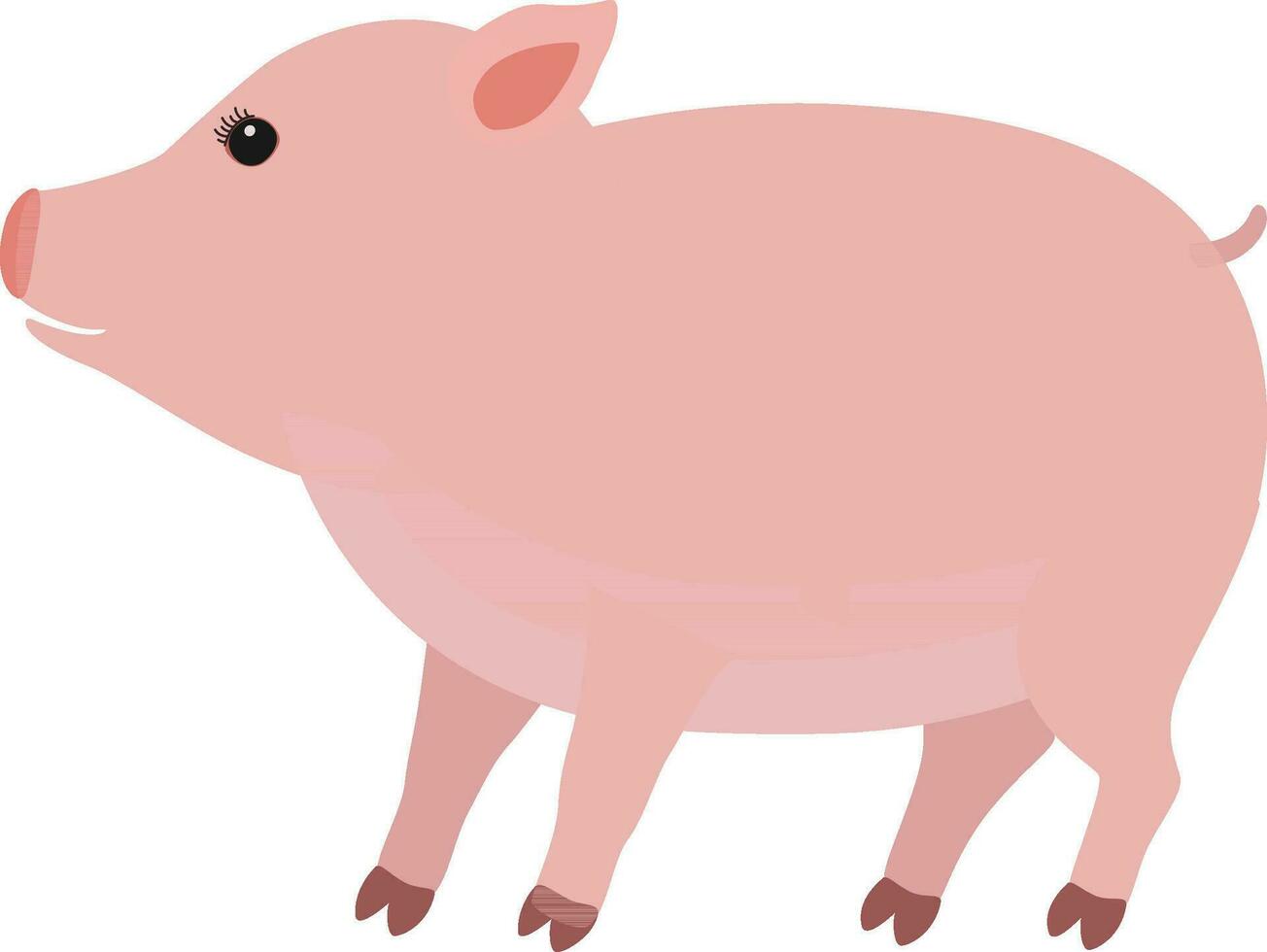 Cute Pig illustration vector