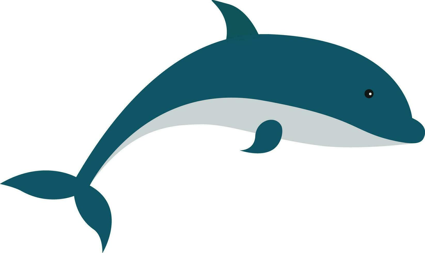 cute dolphin illustration vector