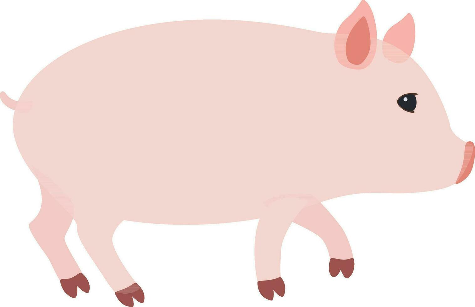 Cute Pig illustration vector