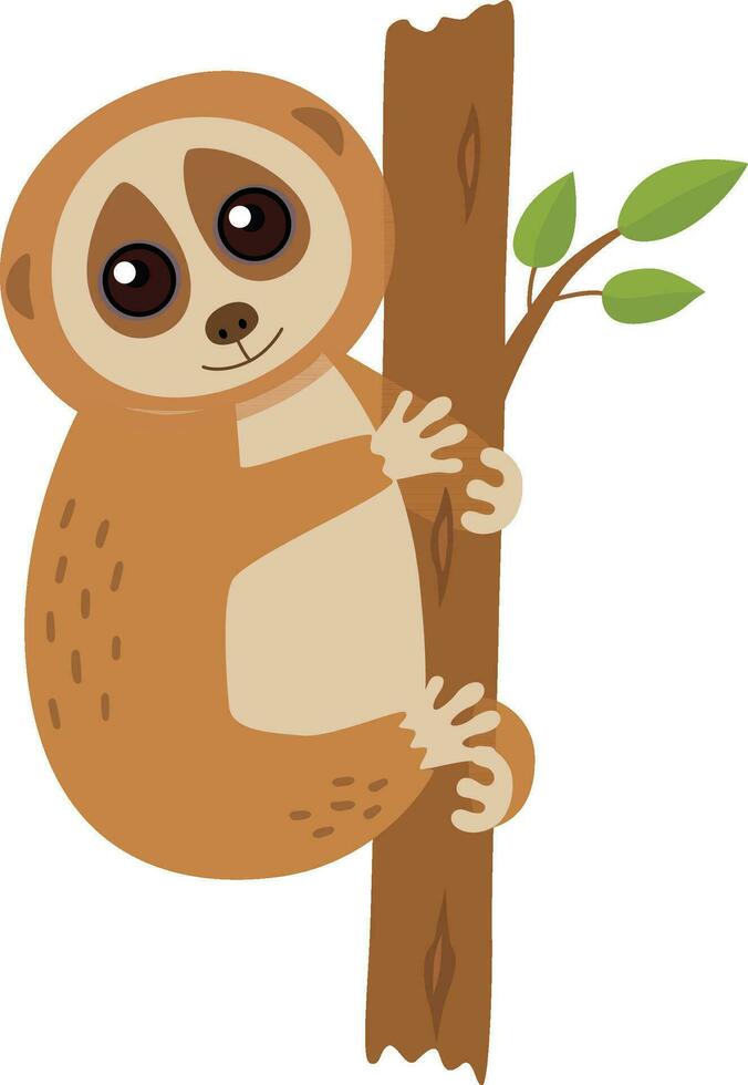 Wild loris on the branch vector