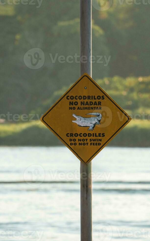 precaución cocodrilo zona hacer no nadar y hacer no alimentar mensaje en letrero foto