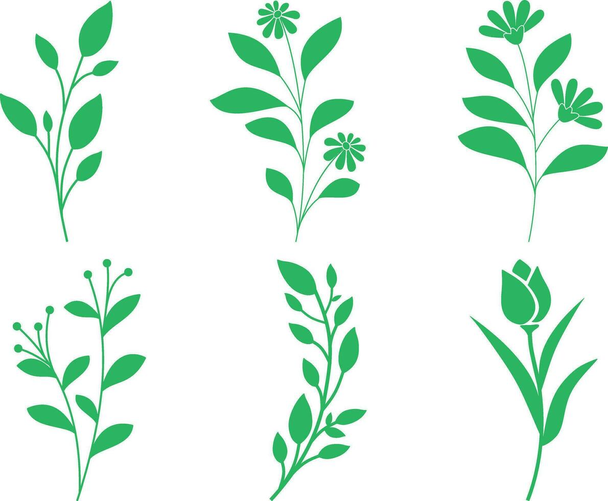 Set of green floral design elements. Vector illustration for your design.