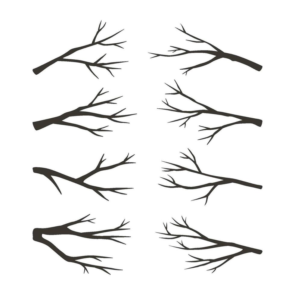 Set of vector black silhouette of branches.