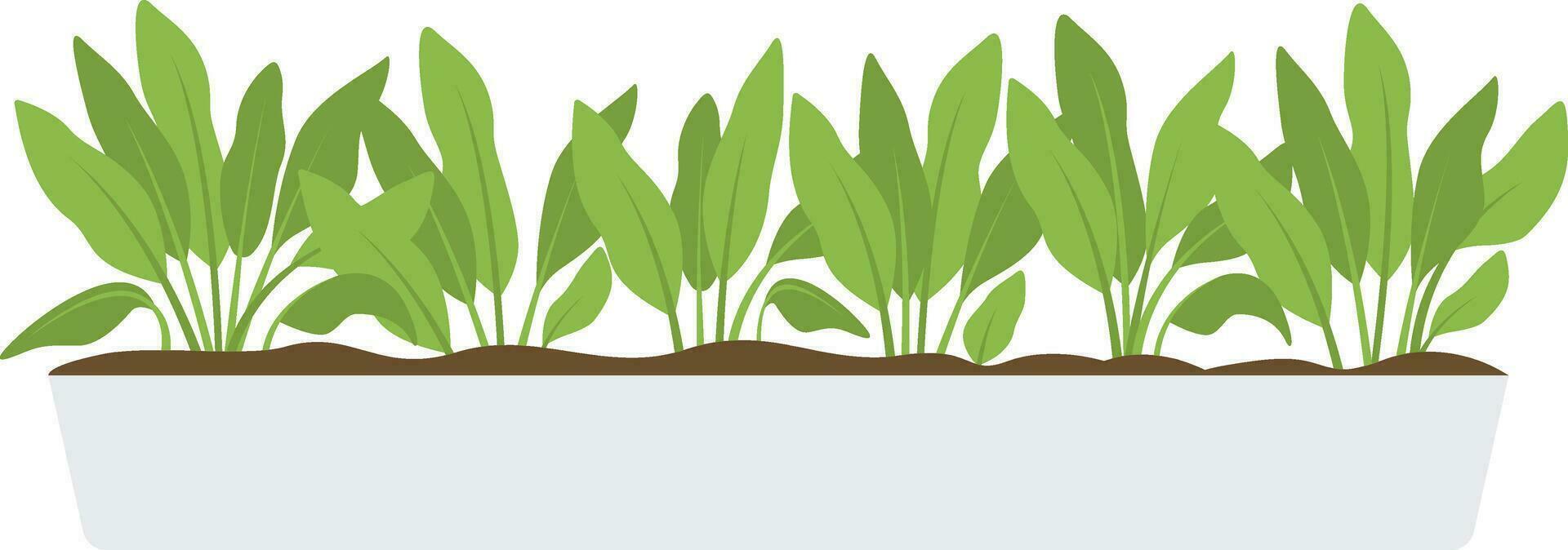 ilustración de un verde planta en un maceta en un blanco antecedentes vector