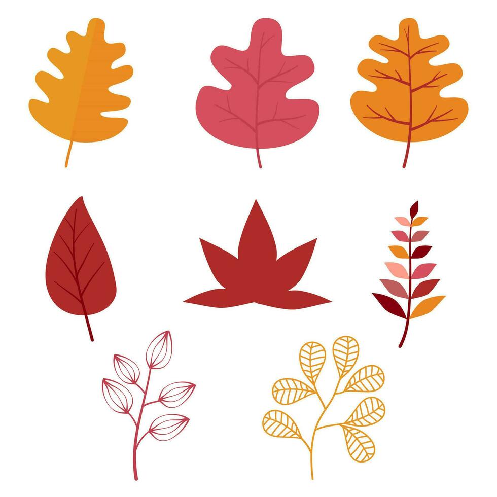 autumn leaves elements vector