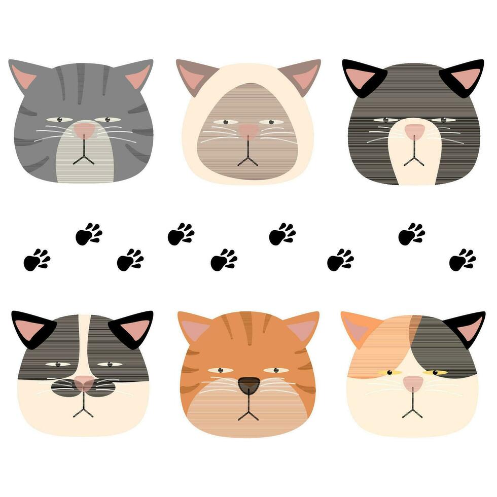 funny face cat head arrogant variety of species vector