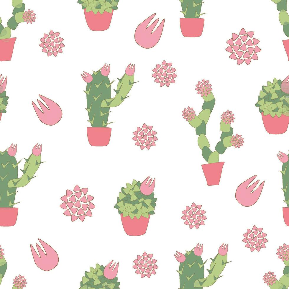 vector illustration seamless pattern of stylized indoor blooming cacti. Flowering succulents in pots on white background