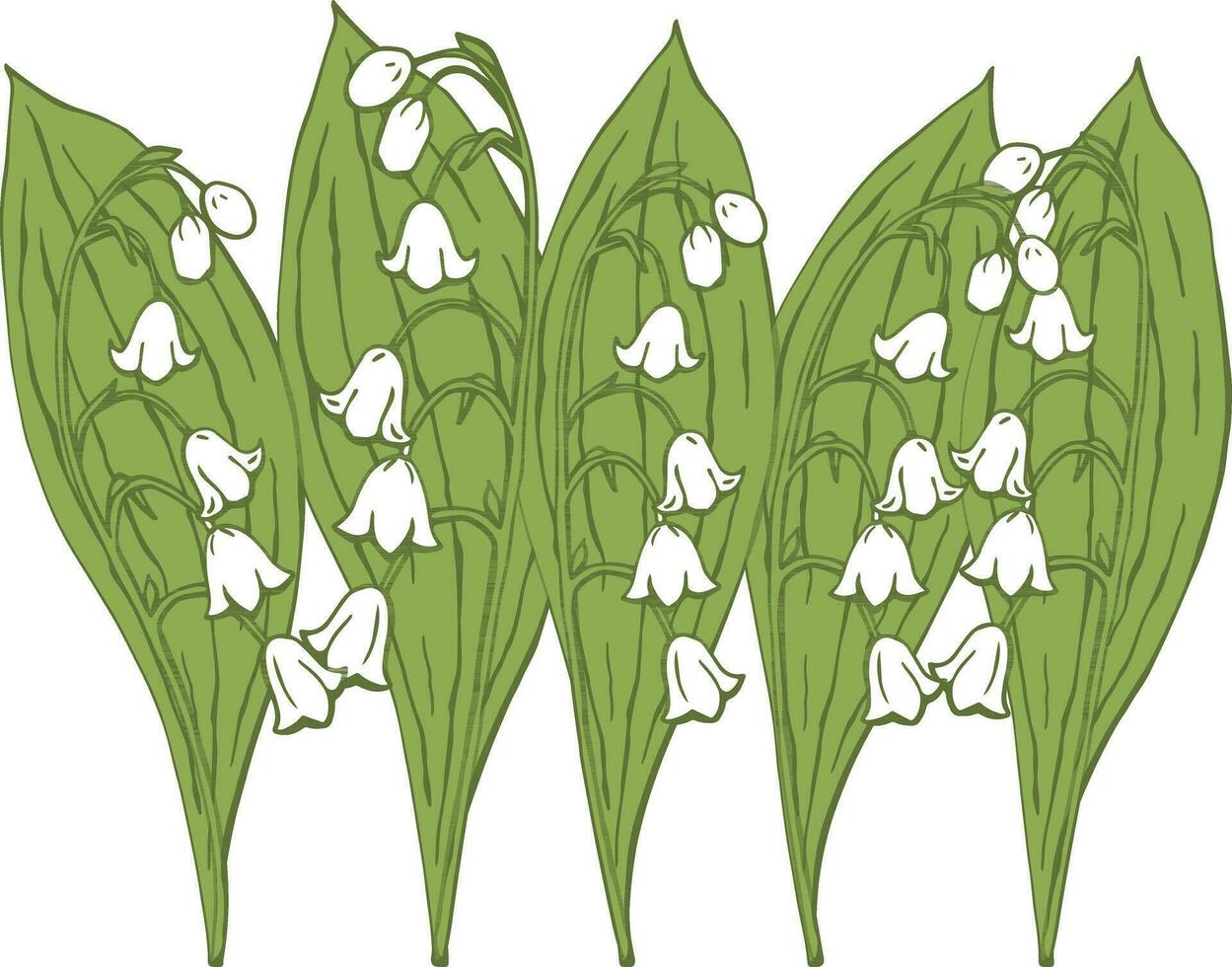 Lily of the valley on a white background. Vector illustration.