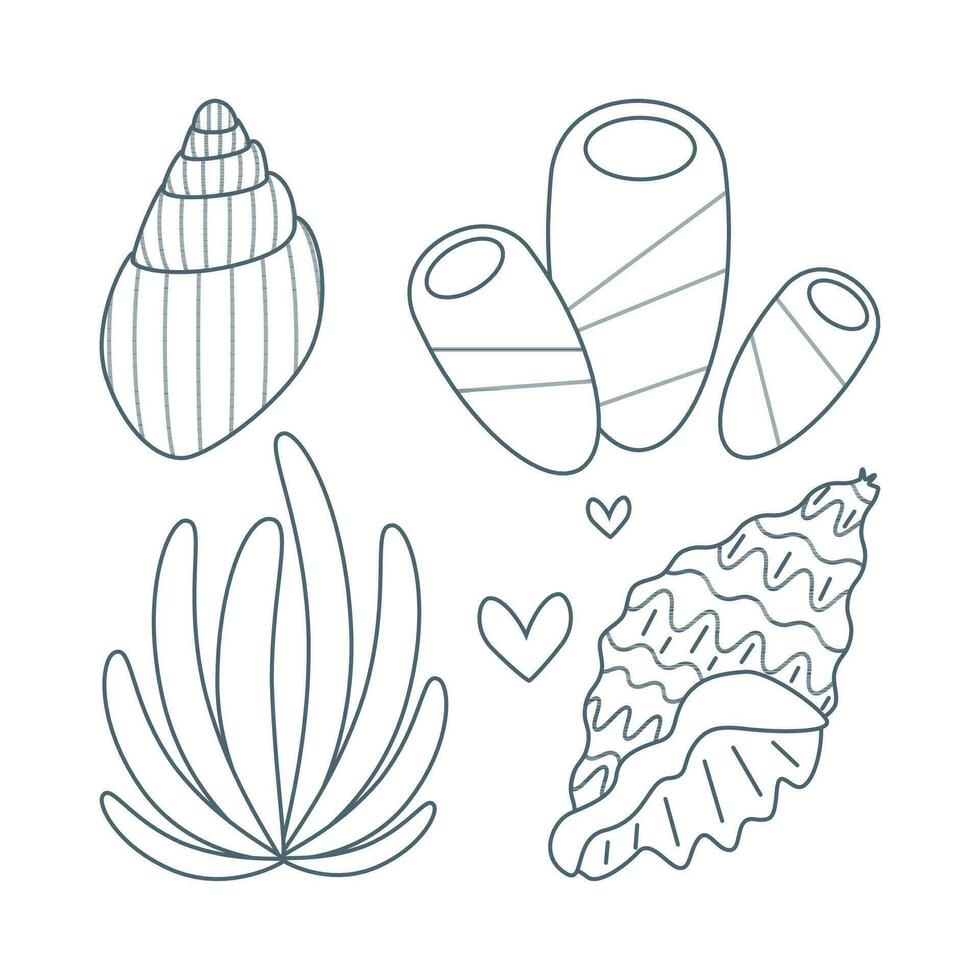 Set of seaweed, seashells in flat cartoon style. vector
