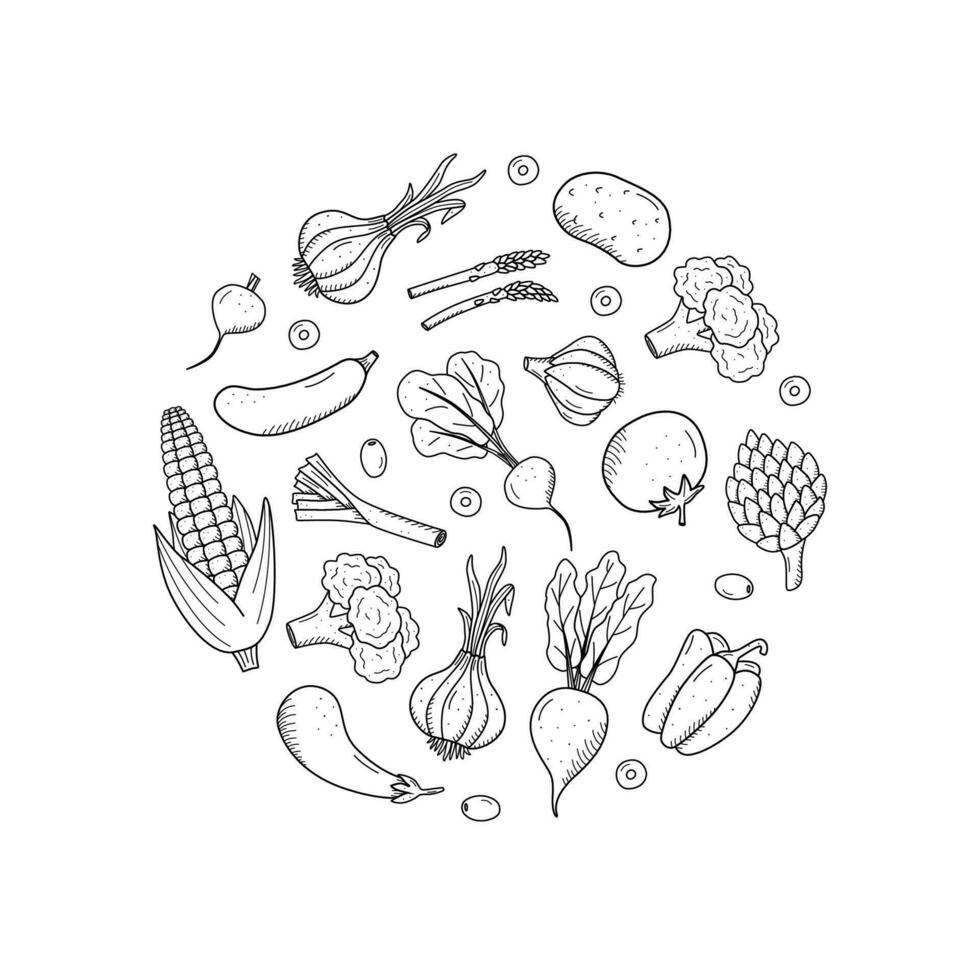 Collection of drawing vegetables in doodle style. A set of vector illustrations of the harvest corn potatoes carrots radishes beets garlic onions tomatoes, etc.