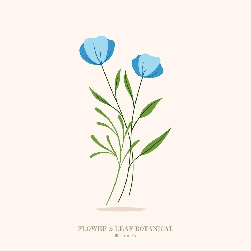 Blue flower and leaf botanical illustration. vector