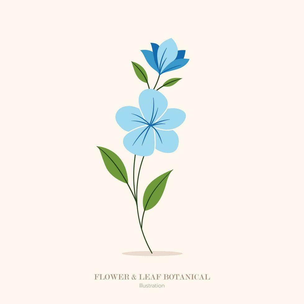 Blue flower and leaf botanical illustration. vector