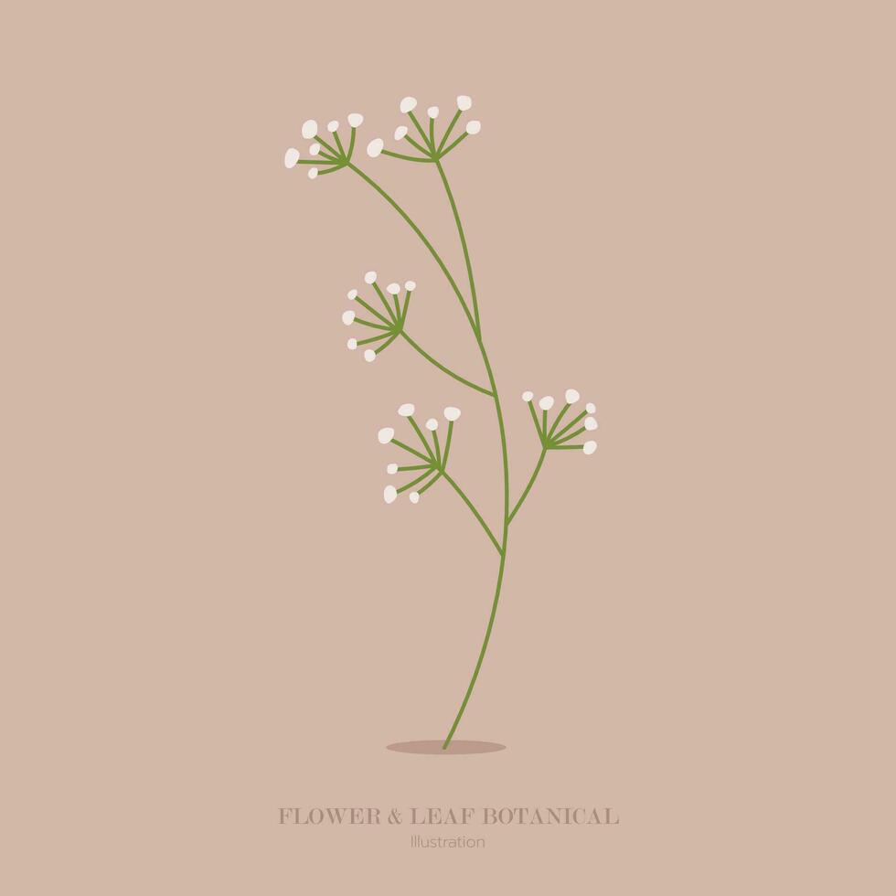 flower and grass botanical illustration. vector