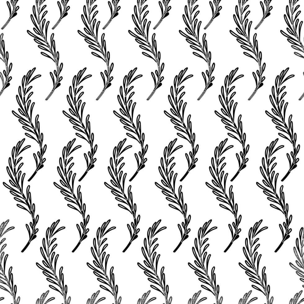 Rosemary branches doodle seamless pattern vector illustration