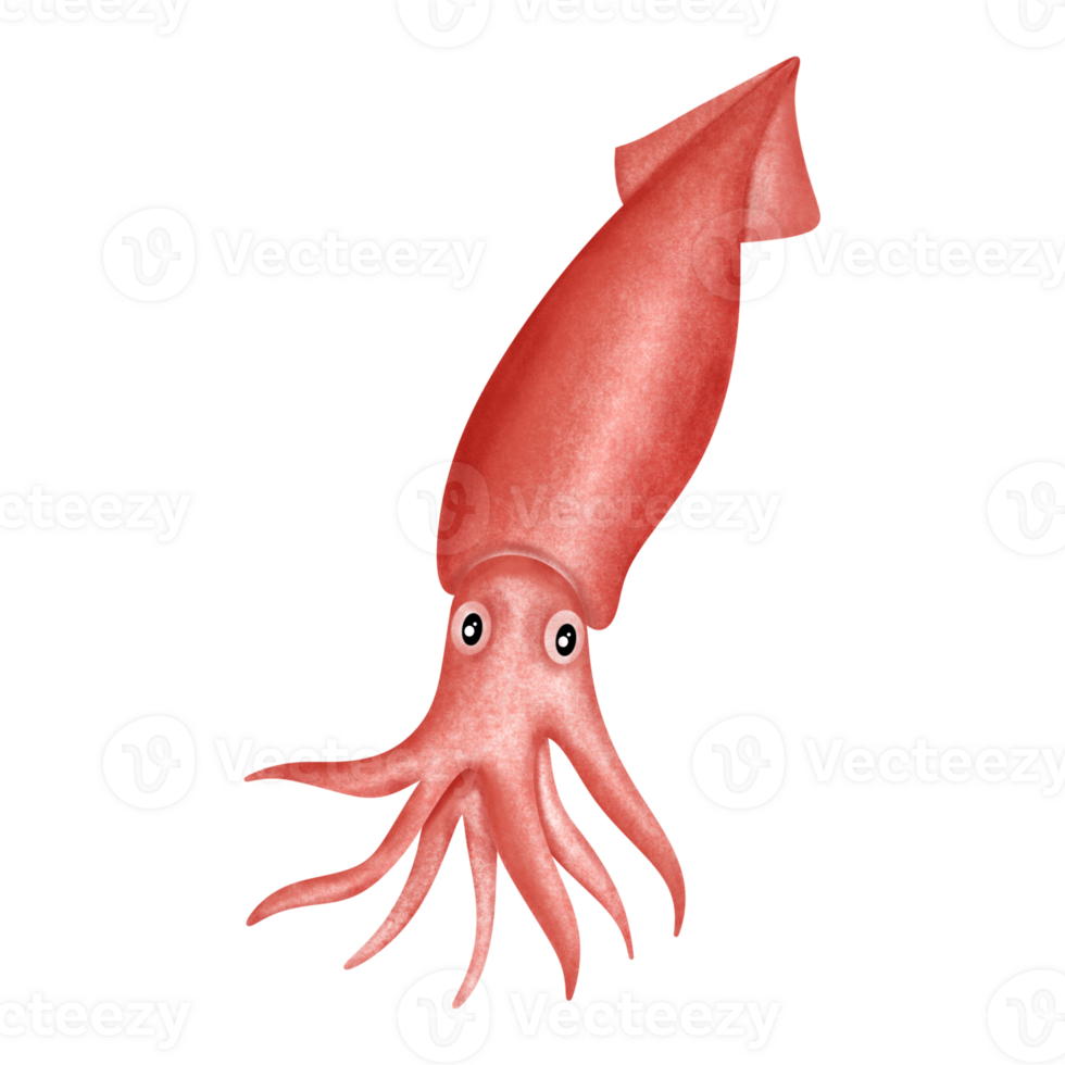 rood inktvis. zee schepsel. tekenfilm octopus, inktvis. png