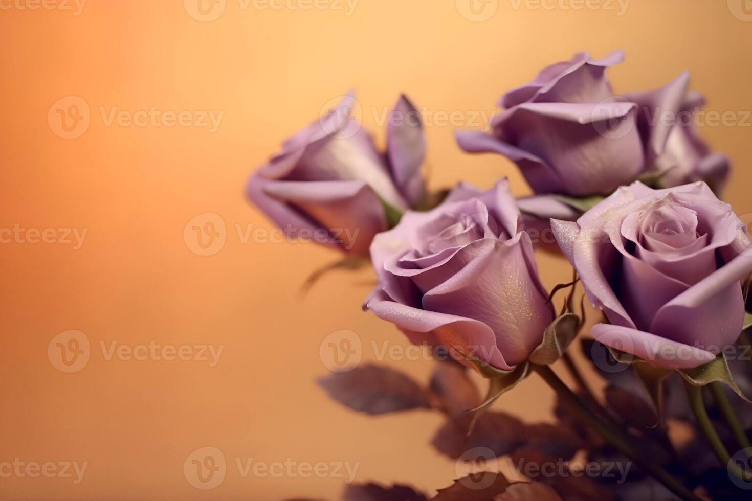 vintage tender flowers in different colors with free space on the left photo