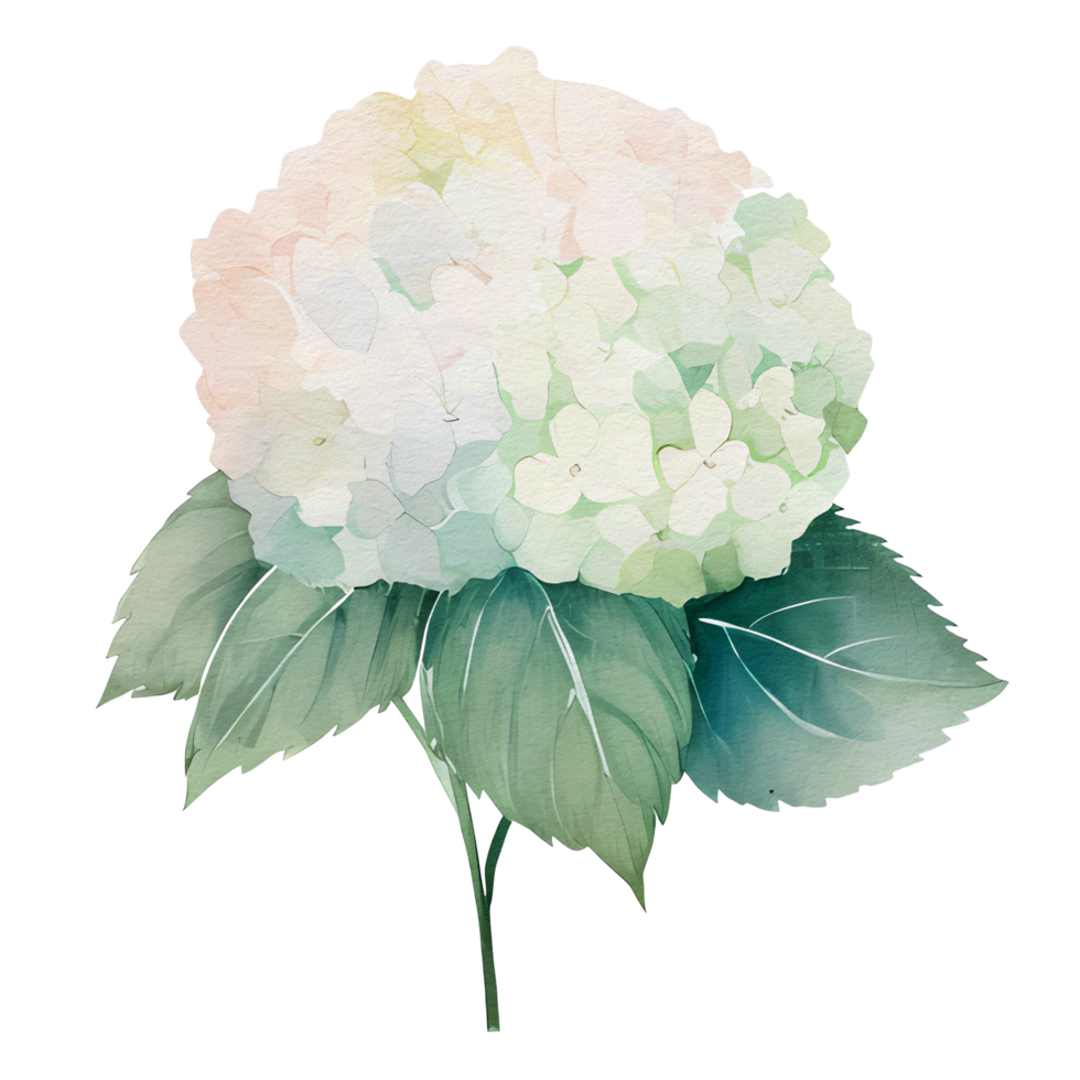 skön vattenfärg hortensia blomma, ai generativ png