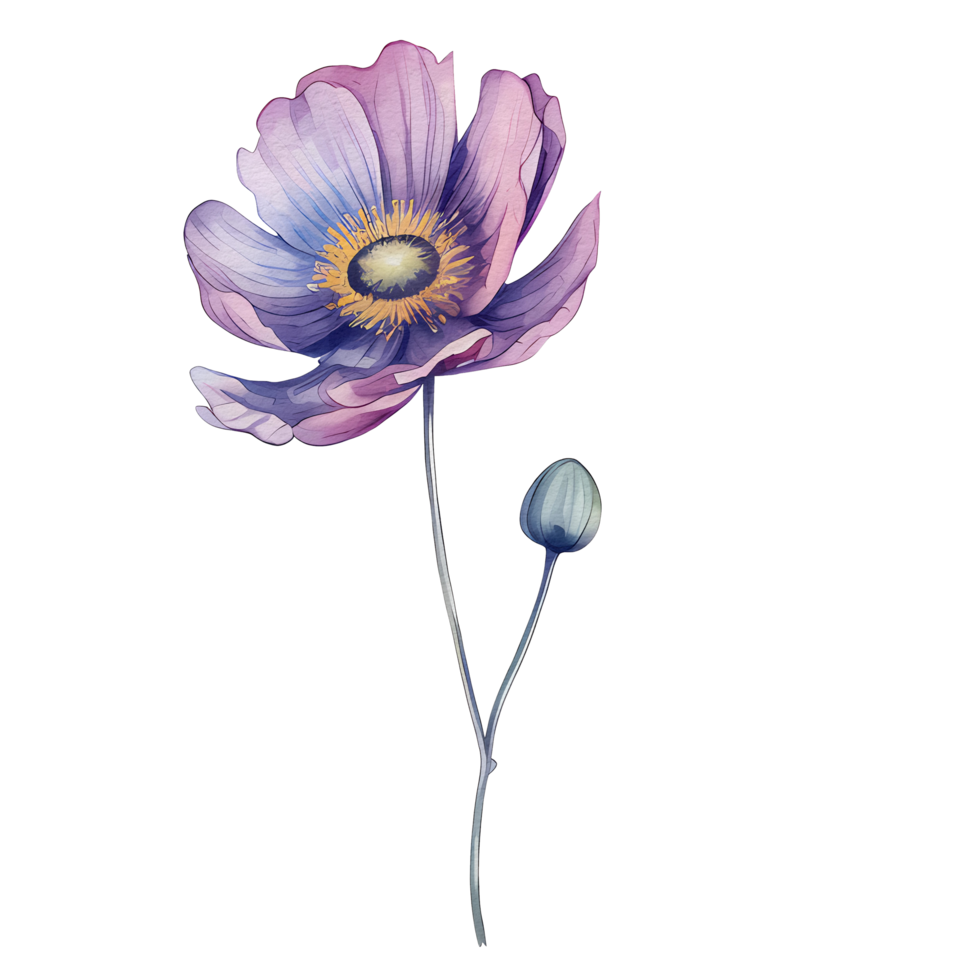 acuarela anémona flor, hermosa floral, ai generativo png