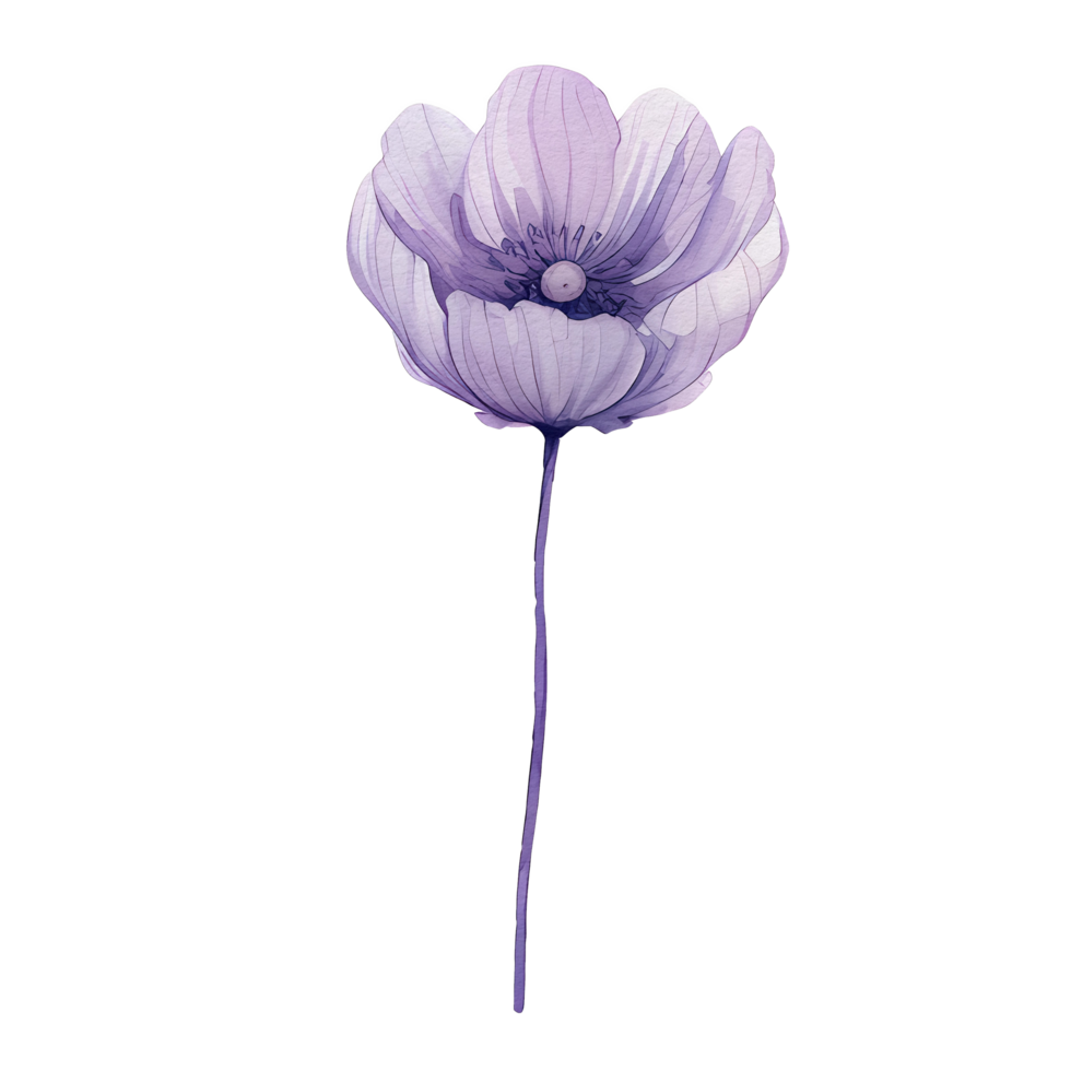 aquarelle anémone fleur, magnifique floral, ai génératif png